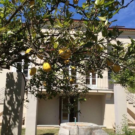 Villa Caterina Sapri Exterior foto