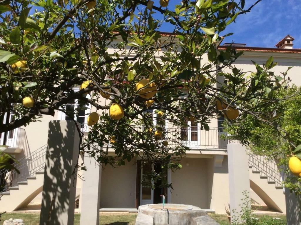 Villa Caterina Sapri Exterior foto